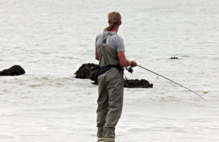 angler, fishing, north sea-3071970.jpg